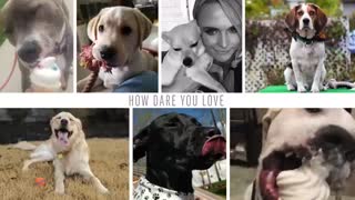 Miranda Lambert - How Dare You Love (Music Video)