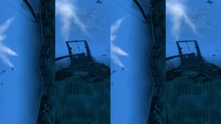 The Blu- Whale Encounter - 3D 360 VR