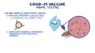 Development of the COVID-19 Vaccine