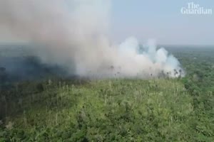 Large swathes of the Amazon rainforest are burning