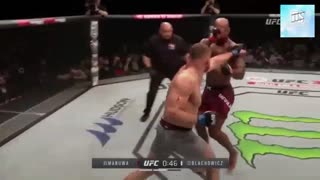 Jan Blachowicz Highlights and  Compilations Knockouts in UFC 2021