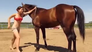 Even The Horse Showed It s Sympathy For The Girl Who Just Couldn
