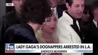  Lady Gaga dognappers charged with robbery, attempted murder