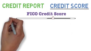 Credit Scores and Reports 101 (Credit Card and Loan Basics)