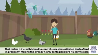 Bird Flu(Avian Influenza), Causes, Signs and Symptoms, Diagnosis and T