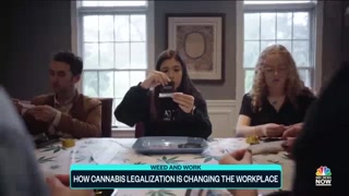 How Cannabis Legalization Is Changing The Workplace