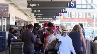 Spirit Airlines Flight Attendant Attack -Everything You need to know