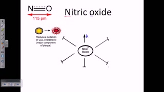 Benefits and side Effects of Nitric Oxide
