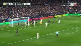 Highlights & Goals - Leeds United vs. Newcastle 0-1 - Premier League
