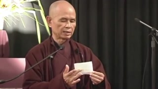 No Birth No Death - Thich Nhat Hanh
