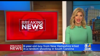 8-year-old killed by man randomly shooting at passing cars