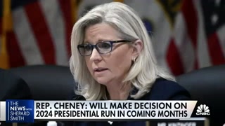 Liz Cheney seeks support from across political spectrums