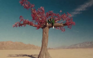 Bad Bunny - Where She Goes
