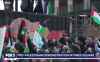 Pro-Palestinian protesters gather in Times Square