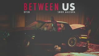 dvsn - Between Us (feat. Snoh Aalegra) [Official Audio]