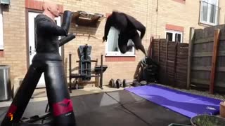 Real Life Ninja - Martial Arts Motivational Video