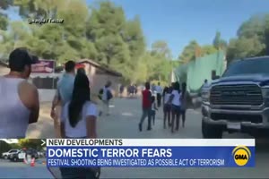 El Paso, Gilroy shootings spark domestic terror concerns l ABC News