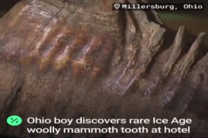 12-Year-Old Boy Finds Rare Woolly Mammoth Tooth in Ohio